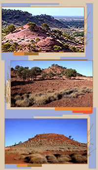 Montage of Lark Quarry Conservation Park photographs