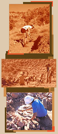Stampede image3 - historic digging photo montage